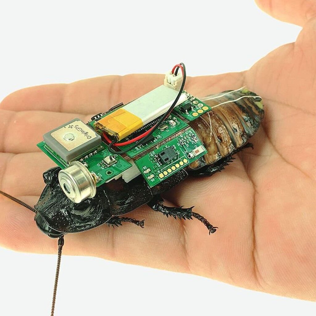 Cyborg Cockroaches Are Becoming Tiny Paramedics That Could Rescue People Trapped in Disasters