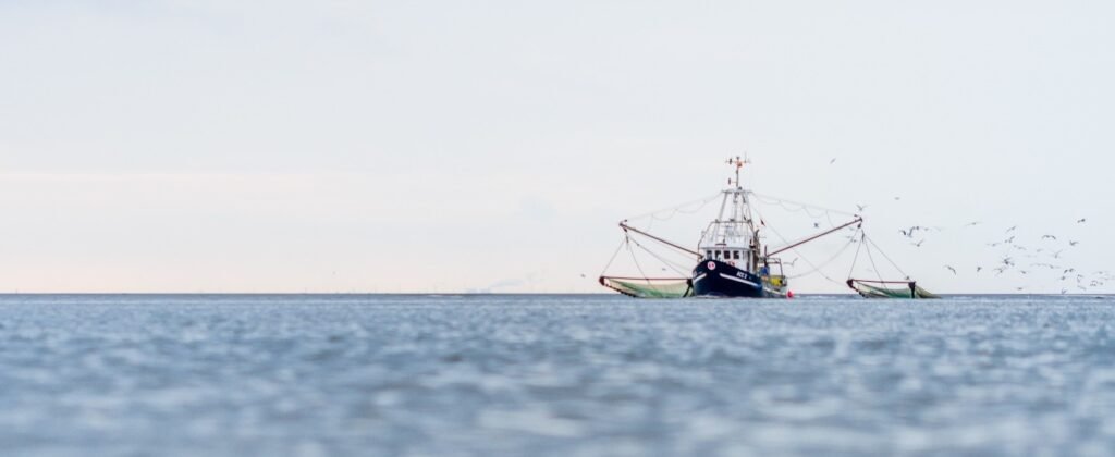 Marine Heatwaves Are Reshaping Europe’s Fisheries European fisheries are facing changing habitats as marine temperatures rise.