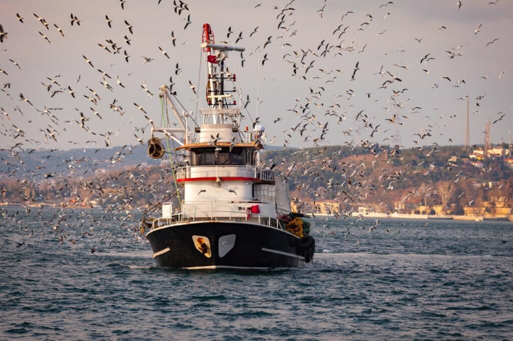 Fishing activity in the Mediterranean during a period of unusually high sea temperatures.